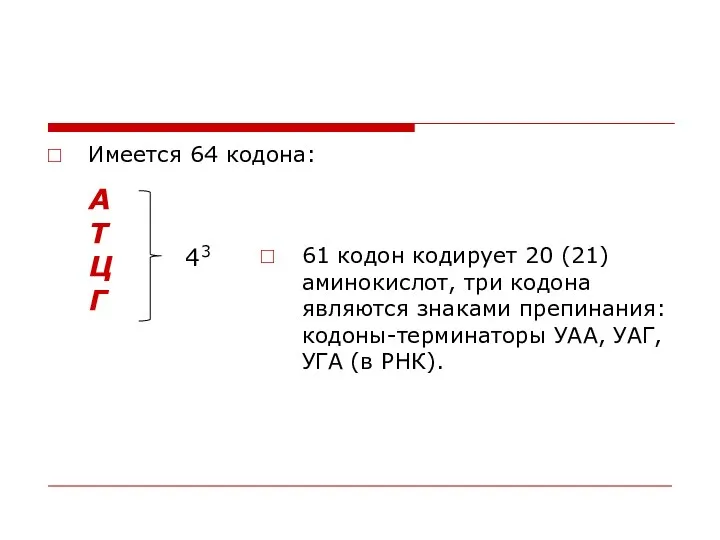 Имеется 64 кодона: 61 кодон кодирует 20 (21) аминокислот, три