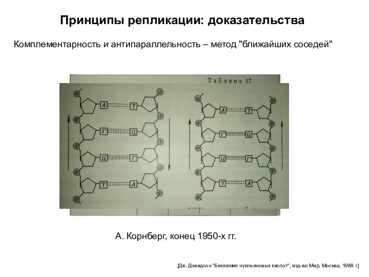 Принципы репликации: доказательства Комплементарность и антипараллельность – метод "ближайших соседей"