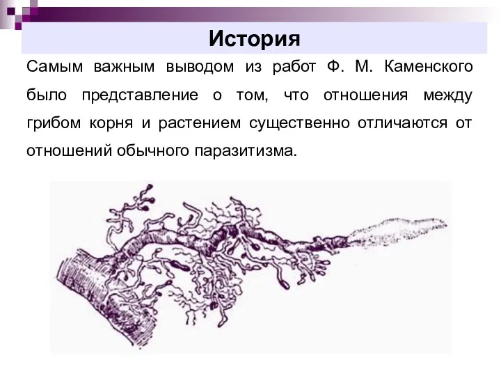 История Самым важным выводом из работ Ф. М. Каменского было