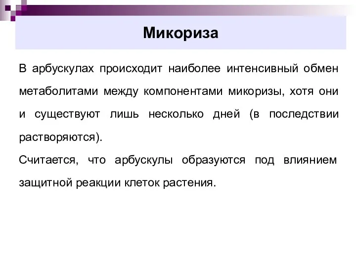 Микориза В арбускулах происходит наиболее интенсивный обмен метаболитами между компонентами