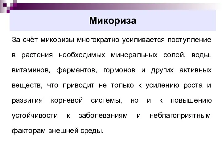 Микориза За счёт микоризы многократно усиливается поступление в растения необходимых