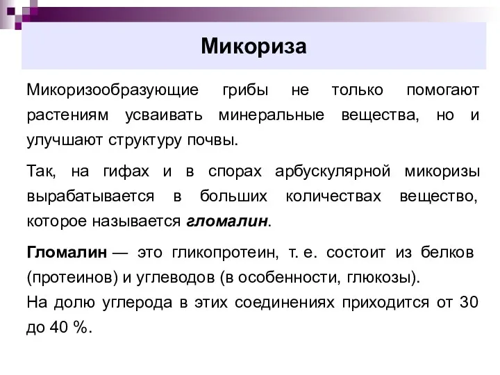 Микориза Микоризообразующие грибы не только помогают растениям усваивать минеральные вещества,