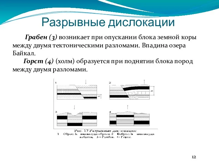 Разрывные дислокации Грабен (3) возникает при опускании блока земной коры