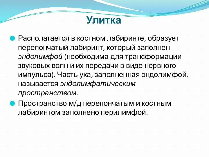 Улитка Располагается в костном лабиринте, образует перепончатый лабиринт, который заполнен