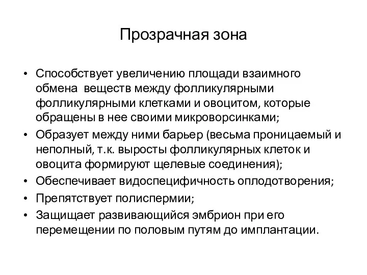 Прозрачная зона Способствует увеличению площади взаимного обмена веществ между фолликулярными