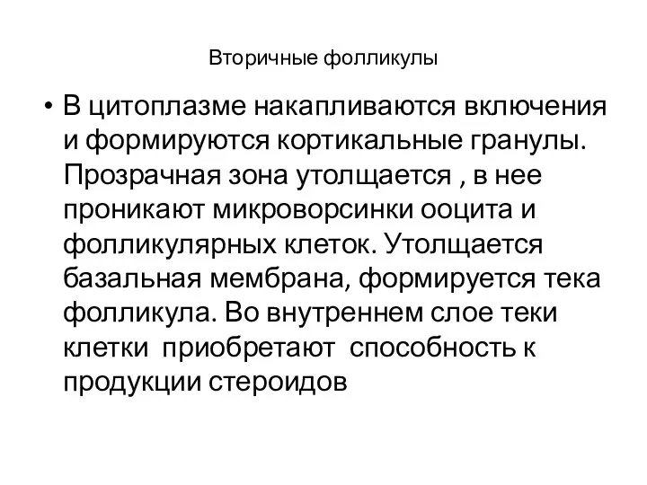 Вторичные фолликулы В цитоплазме накапливаются включения и формируются кортикальные гранулы.