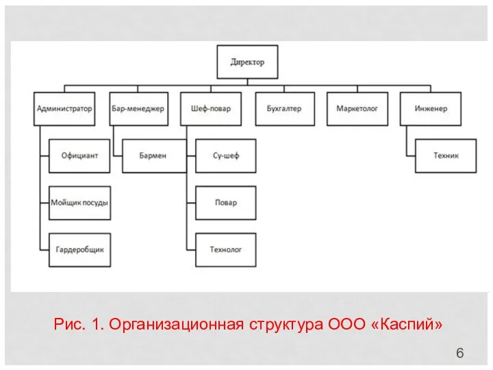 Рис. 1. Организационная структура ООО «Каспий»