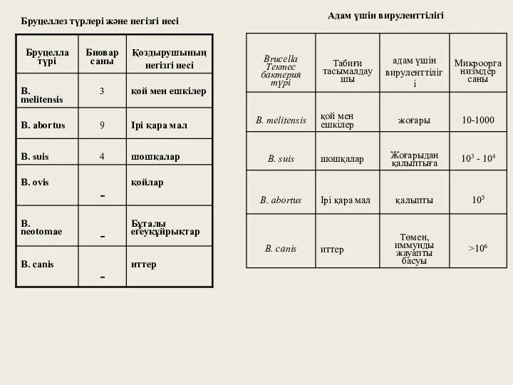 Адам үшін вируленттілігі Бруцеллез түрлері және негізгі иесі