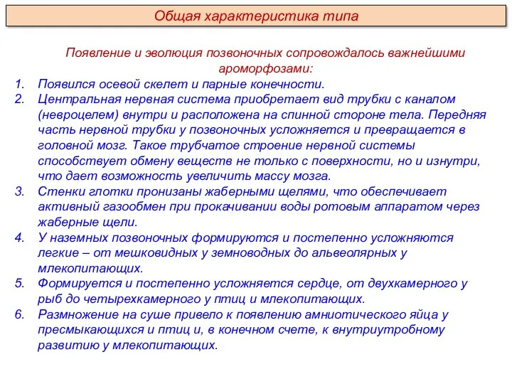 Появление и эволюция позвоночных сопровождалось важнейшими ароморфозами: Появился осевой скелет