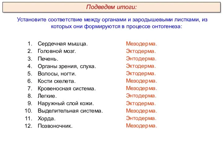 Установите соответствие между органами и зародышевыми листками, из которых они формируются в процессе