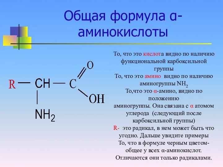 Общая формула α-аминокислоты То, что это кислота видно по наличию