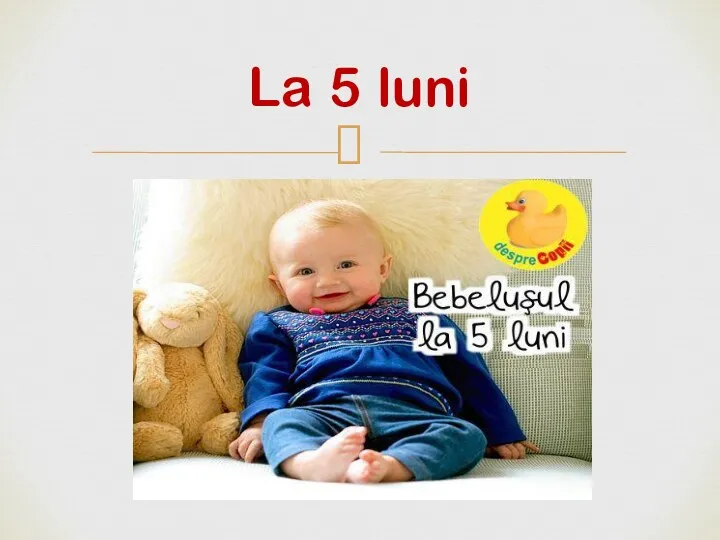 La 5 luni