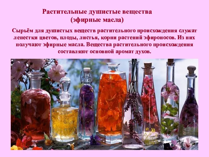Растительные душистые вещества (эфирные масла) Сырьём для душистых веществ растительного