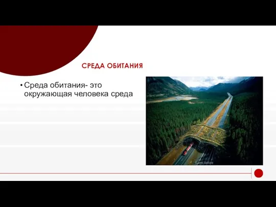 СРЕДА ОБИТАНИЯ Среда обитания- это окружающая человека среда