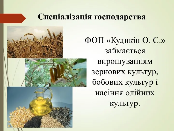 Спеціалізація господарства ФОП «Кудикін О. С.» займається вирощуванням зернових культур, бобових культур і насіння олійних культур.
