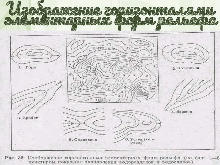 Изображение горизонталями элементарных форм рельефа