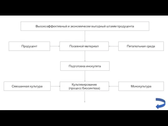 Продуцент Посевной материал Питательная среда Подготовка инокулята Культивирование (процесс биосинтеза)