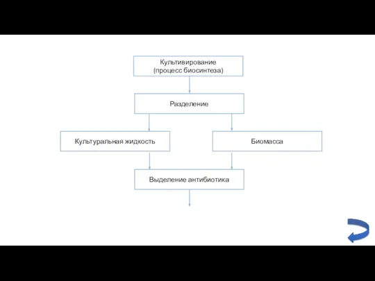 Культивирование (процесс биосинтеза) Разделение Культуральная жидкость Биомасса Выделение антибиотика