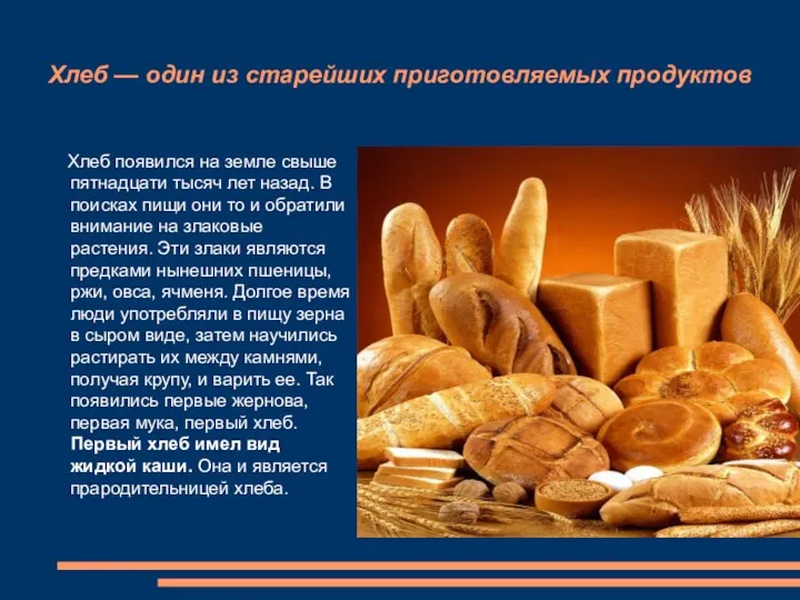 Хлеб — один из старейших приготовляемых продуктов Хлеб появился на земле свыше пятнадцати