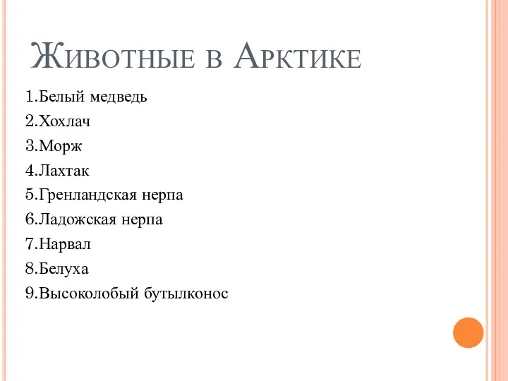 Животные в Арктике 1.Белый медведь 2.Хохлач 3.Морж 4.Лахтак 5.Гренландская нерпа 6.Ладожская нерпа 7.Нарвал 8.Белуха 9.Высоколобый бутылконос