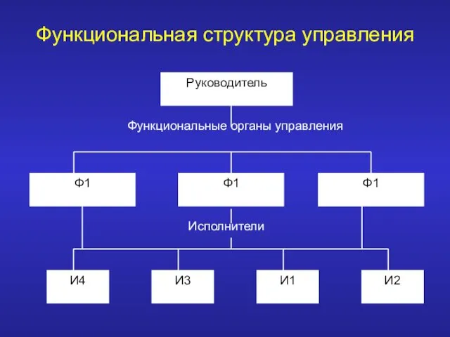 Функциональная структура управления