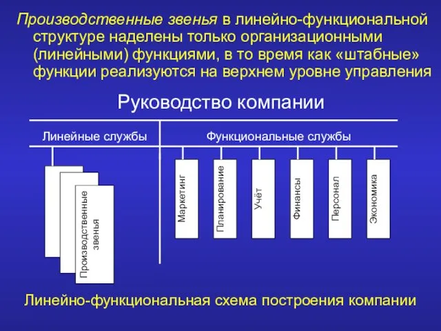 Производственные звенья в линейно-функциональной структуре наделены только организационными (линейными) функциями,