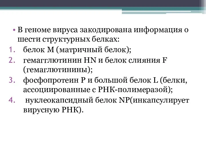 В геноме вируса закодирована информация о шести структурных белках: белок