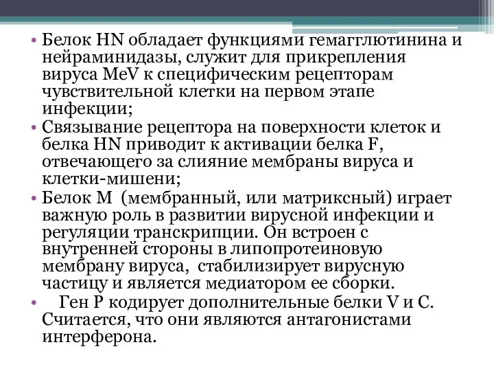 Белок HN обладает функциями гемагглютинина и нейраминидазы, служит для прикрепления