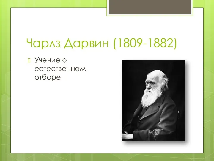 Чарлз Дарвин (1809-1882) Учение о естественном отборе