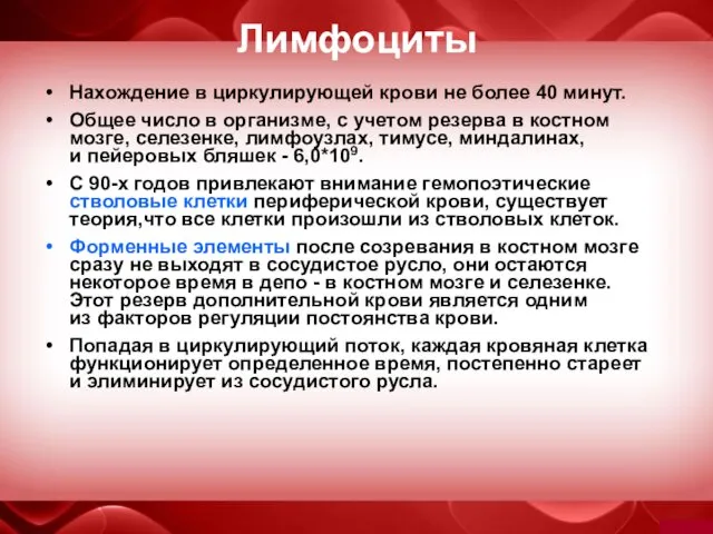 Лимфоциты Нахождение в циркулирующей крови не более 40 минут. Общее