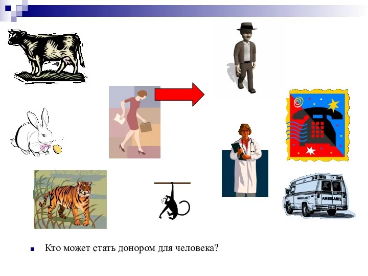 Кто может стать донором для человека?