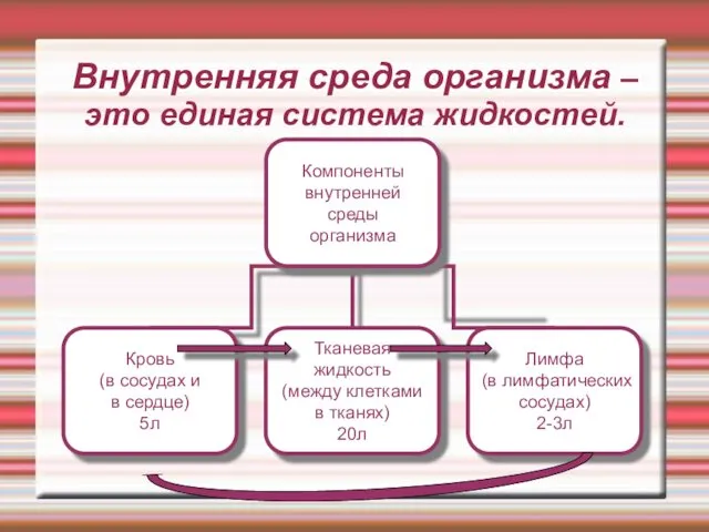 Внутренняя среда организма – это единая система жидкостей.