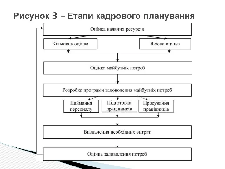 Рисунок 3 – Етапи кадрового планування