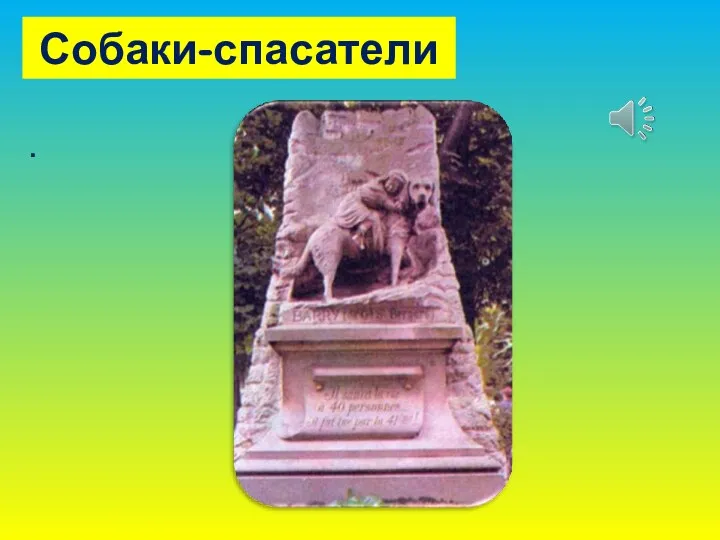 Собаки-спасатели .