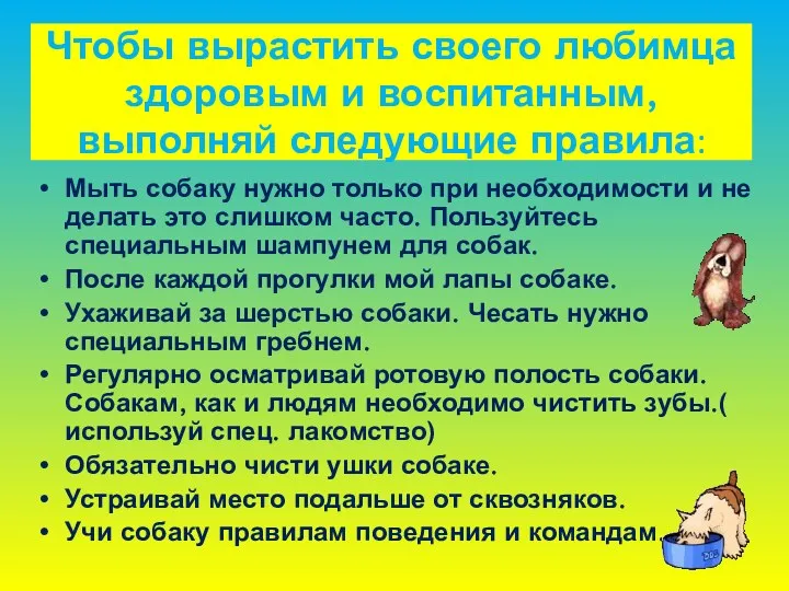 Чтобы вырастить своего любимца здоровым и воспитанным, выполняй следующие правила: