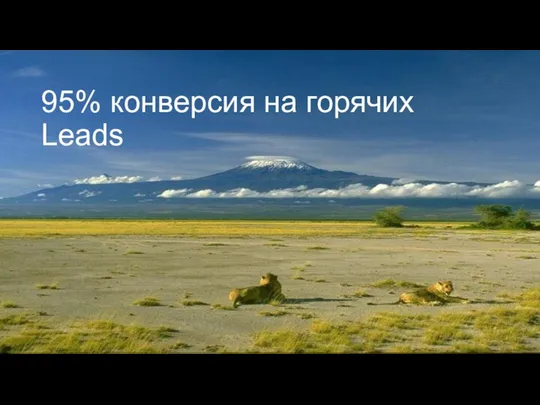 95% конверсия на горячих Leads