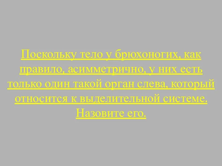 Поскольку тело у брюхоногих, как правило, асимметрично, у них есть