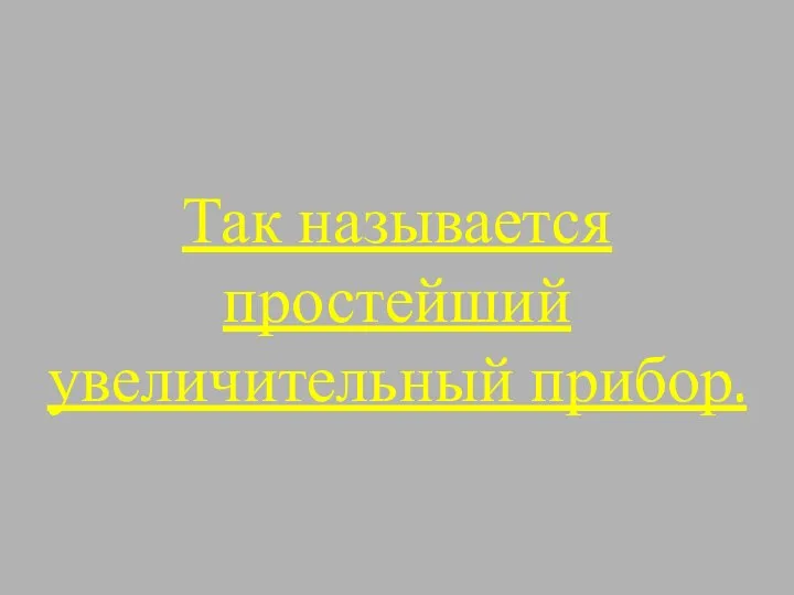 Так называется простейший увеличительный прибор.