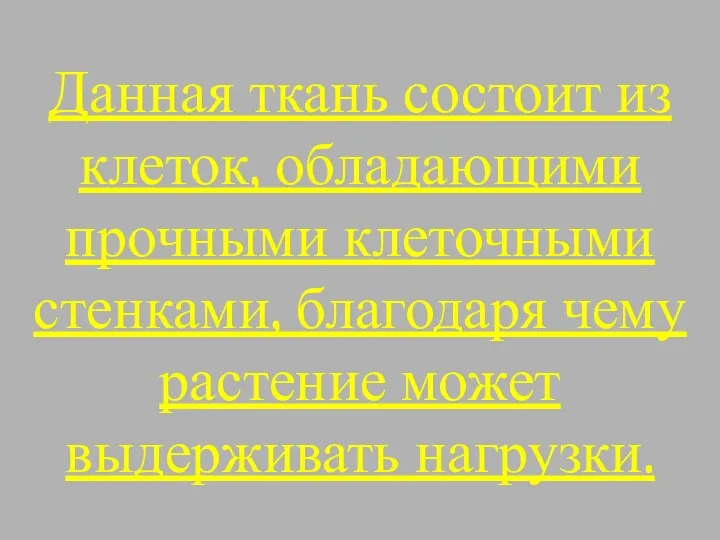 Данная ткань состоит из клеток, обладающими прочными клеточными стенками, благодаря чему растение может выдерживать нагрузки.