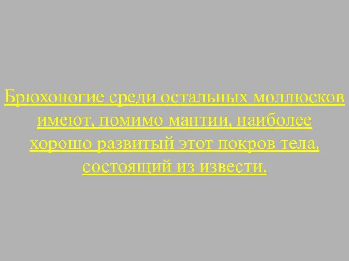 Брюхоногие среди остальных моллюсков имеют, помимо мантии, наиболее хорошо развитый этот покров тела, состоящий из извести.