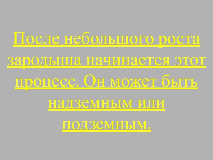 После небольшого роста зародыша начинается этот процесс. Он может быть надземным или подземным.