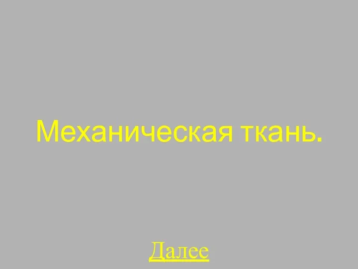 Механическая ткань. Далее