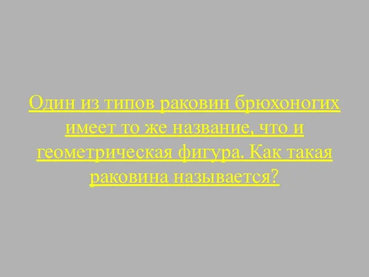 Один из типов раковин брюхоногих имеет то же название, что