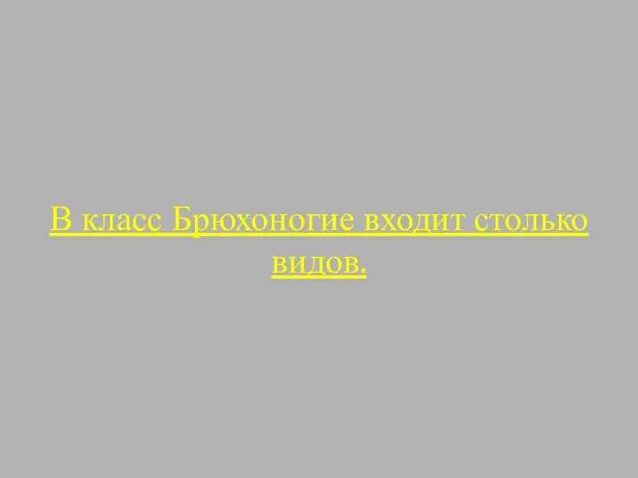 В класс Брюхоногие входит столько видов.