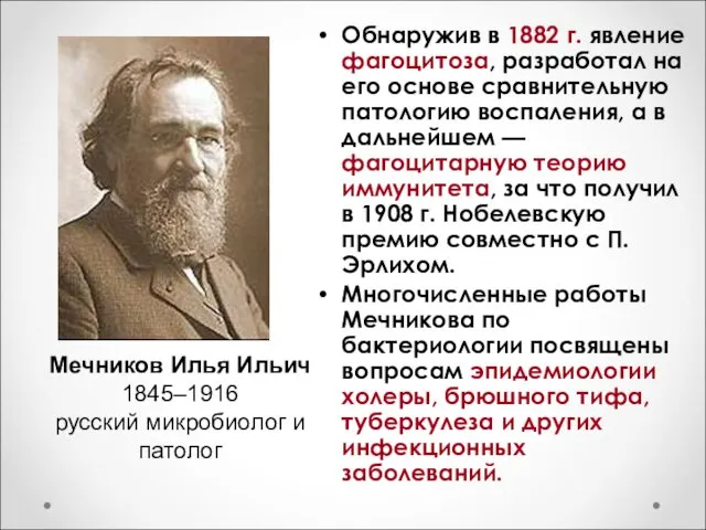 Обнаружив в 1882 г. явление фагоцитоза, разработал на его основе сравнительную патологию воспаления,