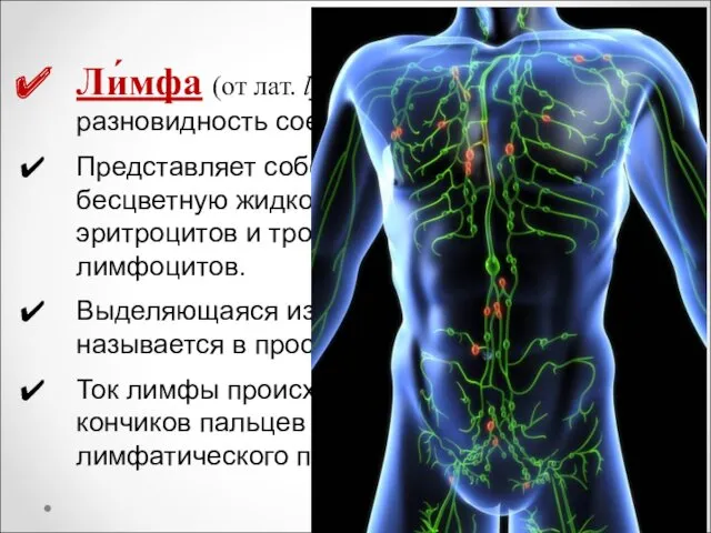 Ли́мфа (от лат. lympha — чистая вода, влага) — разновидность