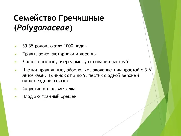 Семейство Гречишные (Polygonaceae) 30-35 родов, около 1000 видов Травы, реже