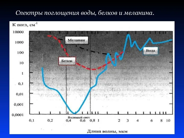 Спектры поглощения воды, белков и меланина.