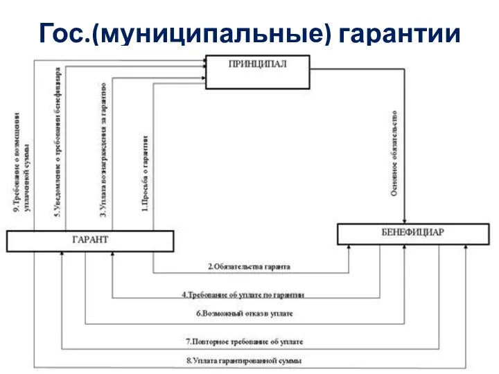 Гос.(муниципальные) гарантии