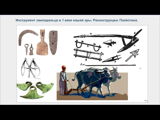 Инструмент земледельца в 1 веке нашей эры. Реконструкция. Палестина.